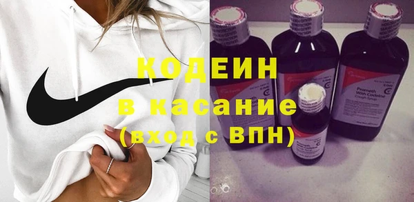 шишки Алексин