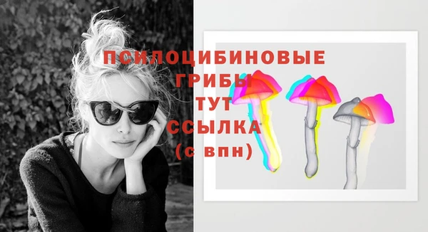ешки Алзамай