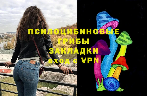 шишки Алексин