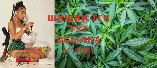 мдпв Михайлов
