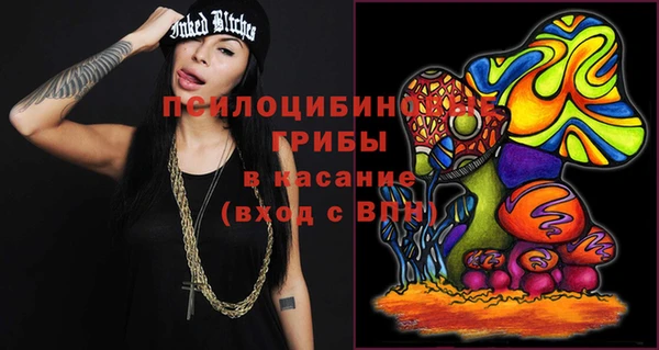шишки Алексин