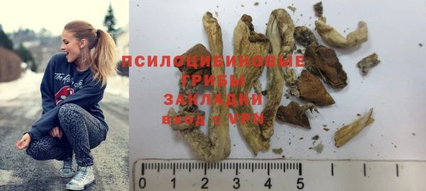 шишки Алексин