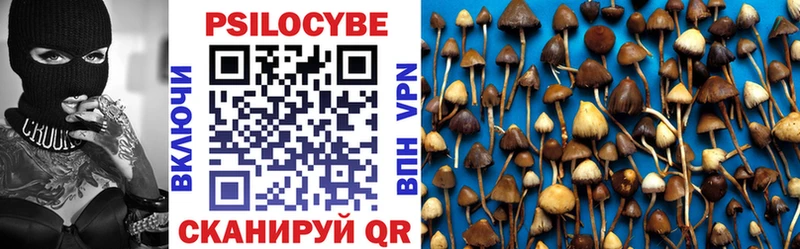 Псилоцибиновые грибы Psilocybine cubensis что такое наркотик мориарти Telegram Уссурийск